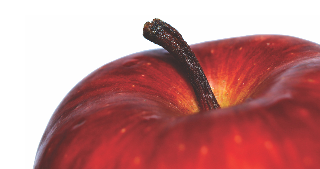 Close-up of red apple.