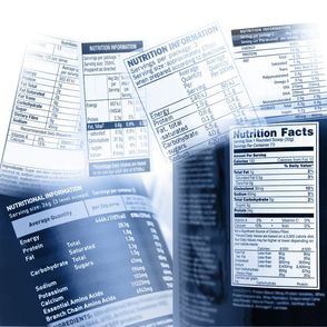 Mockup of a nutritional facts label.