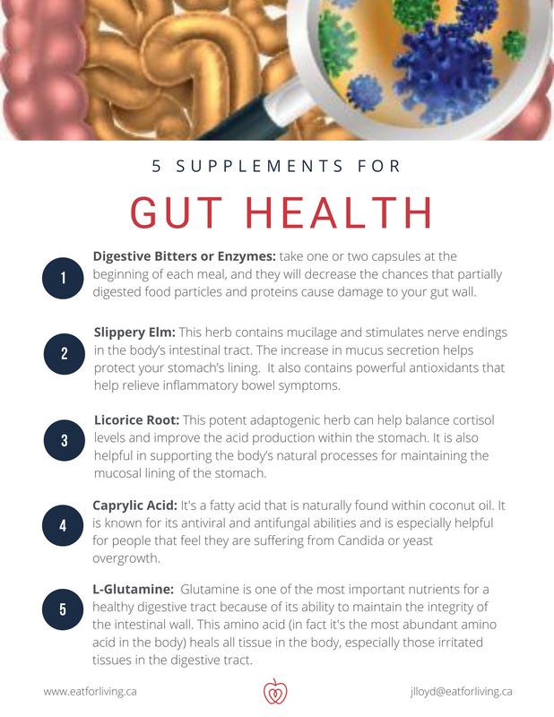 5 Supplements for Gut Health