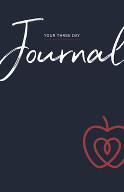 Three Day Journal