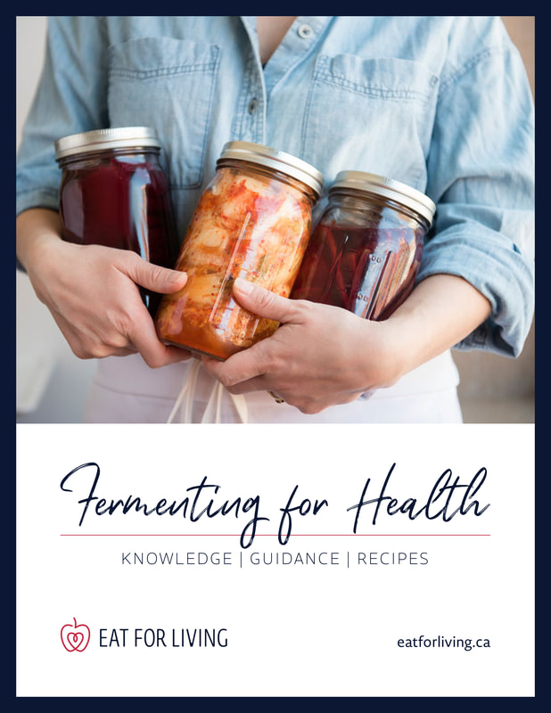 Fermenting for Health Booklet