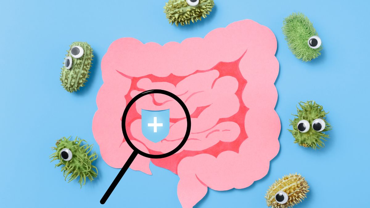 Decoding the Gut: Are You Confused About Prebiotics and Probiotics?